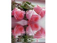 �������� ������� QA 201231 ��������� 40*50 ����: 670.00 RUB