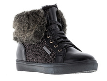 ������� Begonia (35-40) ���� 869+%