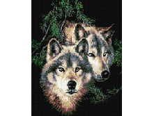 �������� ������� QA 200890 ��� ����� 40*50 ����: 670.00 RUB