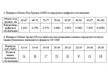 ��������� ����� ����� ZEBRA.jpg