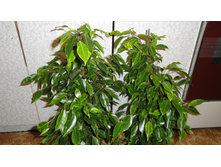 ����� ��������� -- 500 ���. ������ �� ��������� !!!