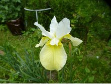 P1070841.JPG ���� ��������� ��� ����