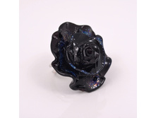 ������ Rosa media (�����)