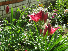 ����� ������.JPG