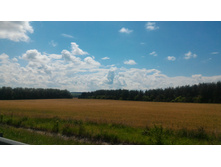 P 20180714 114510.jpg