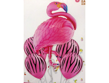 1062644692 w0 h0 img 5408.jpg