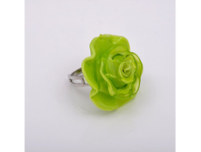 ������ Rosa media (�������)