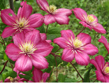 �������� ���� �� ����.JPG