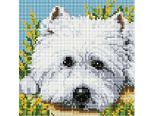 BF 042 ������� 20*20 ����: 540.00 RUB