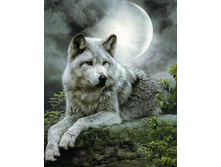 �������� ������� QA 201727 ����� ������� 40*50 ����: 670.00 RUB