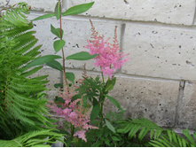 �������� �������.JPG