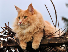 ��� ��� � ��� ���?