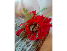 IMG 20180704 162758.jpg