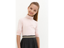 20210100178   Neva         -       (      ).jpg