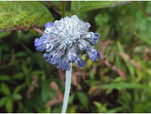 ������� ����������