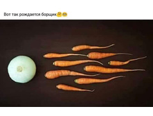 36641483 428896997591045 7413497072000696320 n.jpg