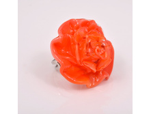 ������ Rosa media (������)