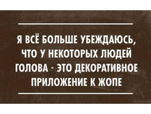 32731985 10213380556849521 2795057393594007552 n.jpg