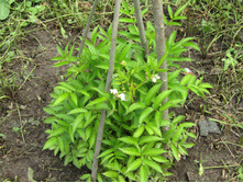 ���������� ������.JPG