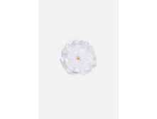 20206330154   Shiller   �����.jpg