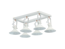 691012406 8000�.jpg