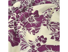 ���� ���������