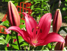 ����� ������.JPG