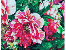 �������� ������� QA 202140 ��������� ����� 40*50 ����: 670.00 RUB