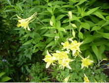 P1070854.JPG ��������� ������.