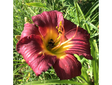 �������