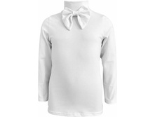 ������ ��-2 250���.