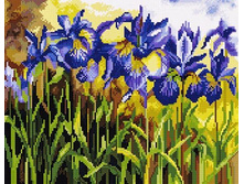 �������� ������� QA 201015 ����� 40*50 ����: 670.00 RUB