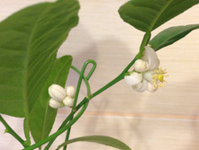 ���������� ������