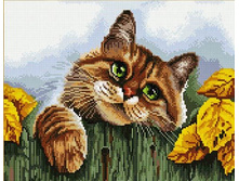 �������� ������� QA 200778 ��� �� ������ 40*50 ����: 670.00 RUB