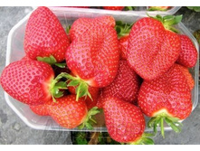 ��������� ����� ������������ ���, 50 ��� (�������� 6��).jpg