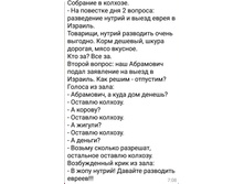 32872542 170387193797868 7184282187900911616 n.jpg