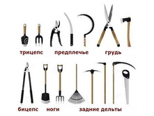 35223015 1004851456349163 2136720855093215232 n.jpg