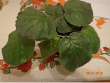 ������� ���������