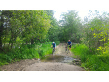 P 20180707 104731.jpg