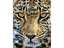 �������� ������� QA 201097 ����� �������� 40*50 ����: 670.00 RUB