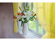 ����013-03760 ������.jpg