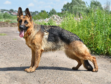 ������� �������� ��� :)