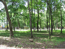 082-OcrgL6jsgQ0.jpg