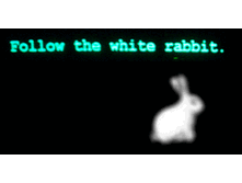 ������ �� ����� �������� f9f8208U43.gif