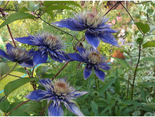 �������� ������ ���