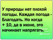 34782451 467322737032353 9206532238886305792 n.jpg