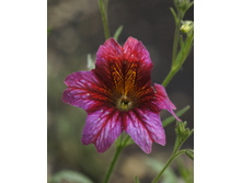 �������������