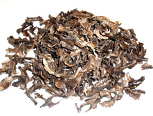 ����������� �������� �����, 200 �