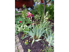 ����� 014.jpg