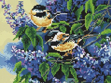 EF 272 ������ � ������ 30*40 ����: 710.00 RUB